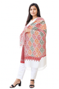 Kashmiri Shawl With Kashmire Embroidery, Indian Stole/Shawl, Mulit Color Embroidery Shawl, Aari Embroidery,Shawl Women, Kashmiri Accessory Size -28x80